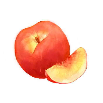 ציור של אפרסק