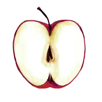 ציור של חצי תפוח